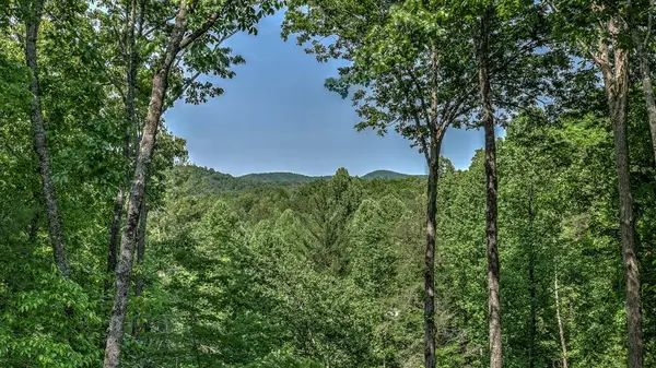 155 Shayla Drive, Blue Ridge, GA 30513