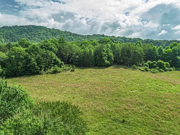 541 Pleasant Hill RD, Copperhill, TN 37317