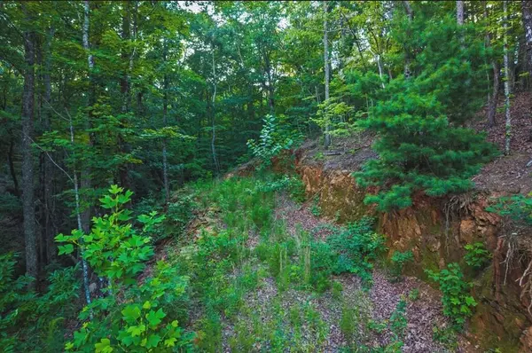 Lt 760 Morton Drive, Ellijay, GA 30540