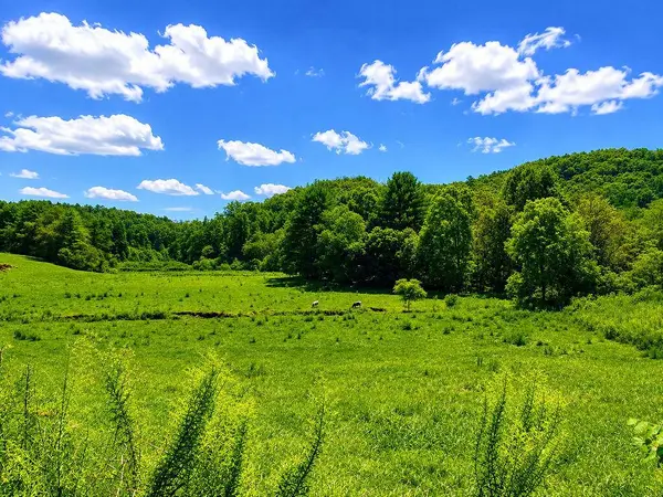 00 Sunny Point Road, Murphy, NC 28906