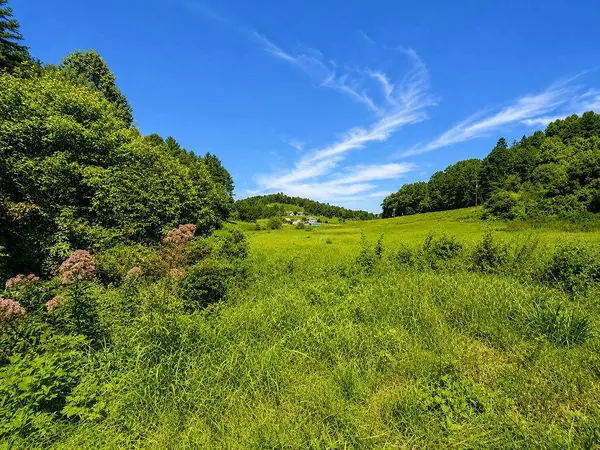 01 Sunny Point Road, Murphy, NC 28906
