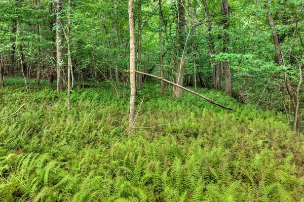00 River Way, Blue Ridge, GA 30513