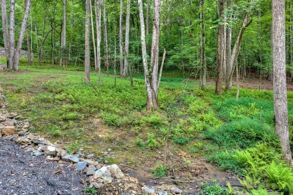 00 River Way, Blue Ridge, GA 30513