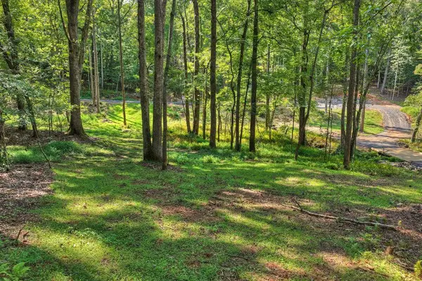 00 River Way, Blue Ridge, GA 30513