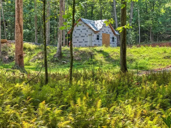 00 River Way, Blue Ridge, GA 30513