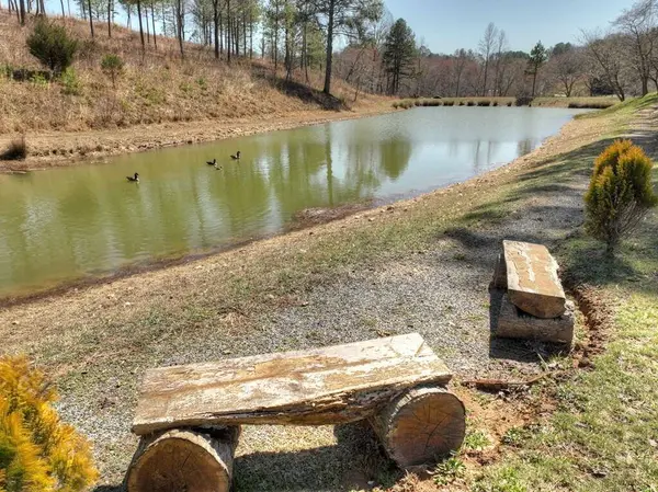 6 Arbor Creek Trail, Mineral Bluff, GA 30559
