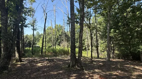 259 Spring Hills Lane, Blairsville, GA 30512