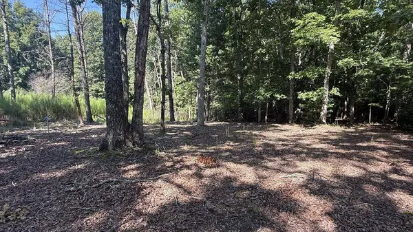 259 Spring Hills Lane, Blairsville, GA 30512
