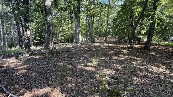 259 Spring Hills Lane, Blairsville, GA 30512