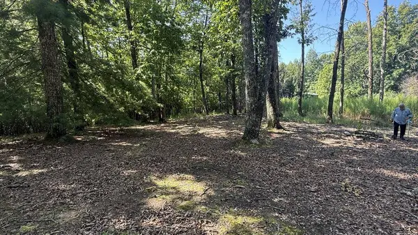 259 Spring Hills Lane