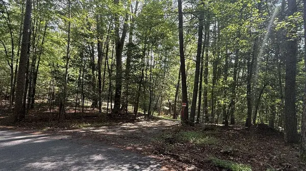 00 River Ridge Road, Blue Ridge, GA 30513