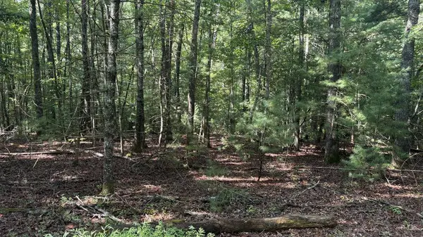 00 River Ridge Road, Blue Ridge, GA 30513
