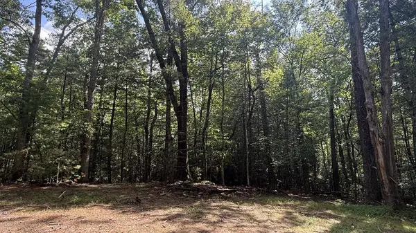 6 River Ridge Road, Blue Ridge, GA 30513