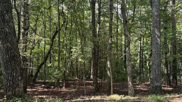 00 River Ridge Road, Blue Ridge, GA 30513