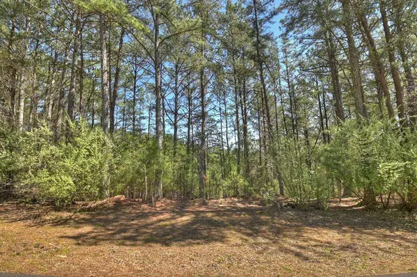 40 & 41 Blue Bird Trail, Copperhill, TN 37317
