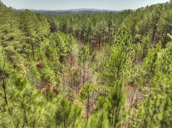 40 & 41 Blue Bird Trail, Copperhill, TN 37317