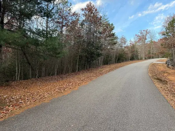 28/32 Stuart Ridge Road, Mineral Bluff, GA 30559