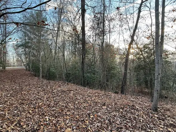 28/32 Stuart Ridge Road, Mineral Bluff, GA 30559