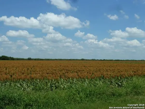 1956 Fm 1554, Alice, TX 78332