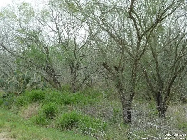 1956 Fm 1554, Alice, TX 78332