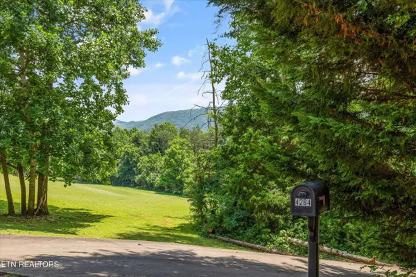 4264 Peachie WAY, Cosby, TN 37722