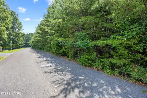 Lot 4 Peachie WAY, Cosby, TN 37722