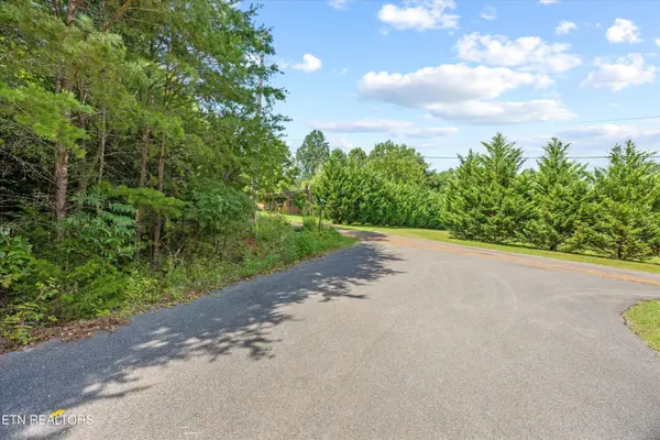 Lot 3 Peachie WAY, Cosby, TN 37722