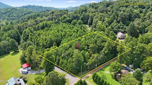 Lot 3 Peachie WAY, Cosby, TN 37722