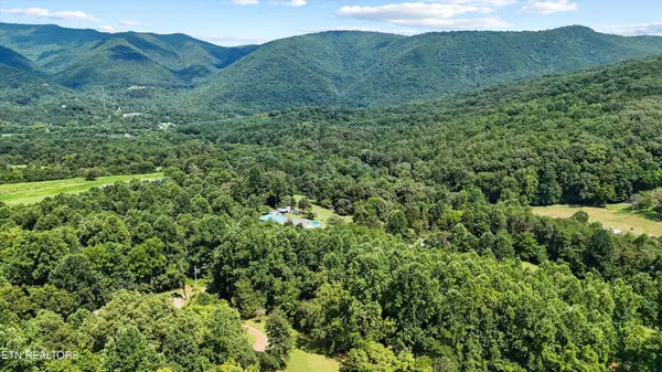 Lot 4 Peachie WAY, Cosby, TN 37722