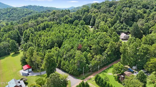 Lot 4 Peachie WAY, Cosby, TN 37722