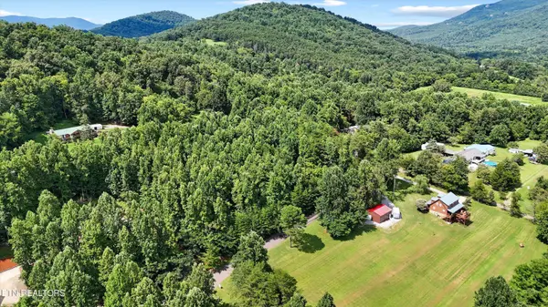 Lot 4 Peachie WAY, Cosby, TN 37722