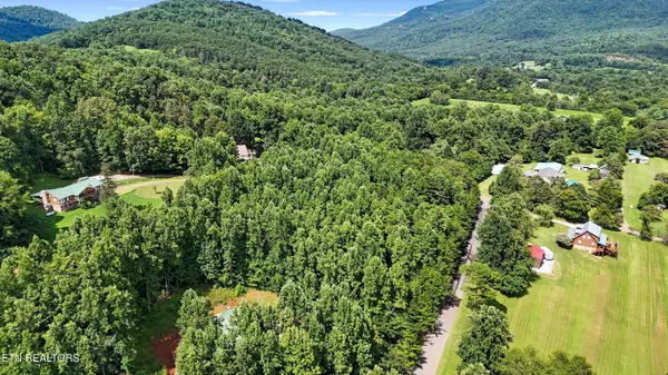 Lot 4 Peachie WAY, Cosby, TN 37722