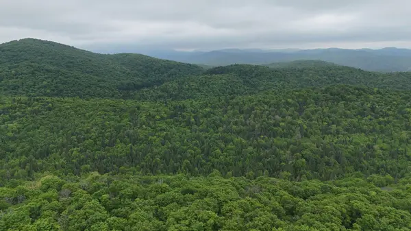 Ch. du Lac-Nantel S., Saint-faustin/lac-carré, QC J0Z2E0