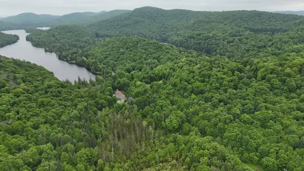 Ch. du Lac-Nantel S., Saint-faustin/lac-carré, QC J0Z2E0