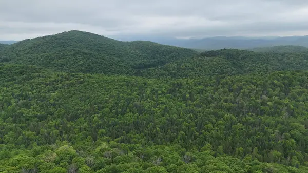 Ch. du Lac-Nantel S., Saint-faustin/lac-carré, QC J0Z2E0