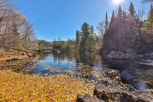 4342 Rue des Engoulevents, Sainte-adèle, QC J8B3J8