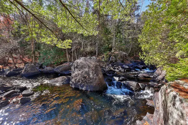 4342 Rue des Engoulevents, Sainte-adèle, QC J8B3J8