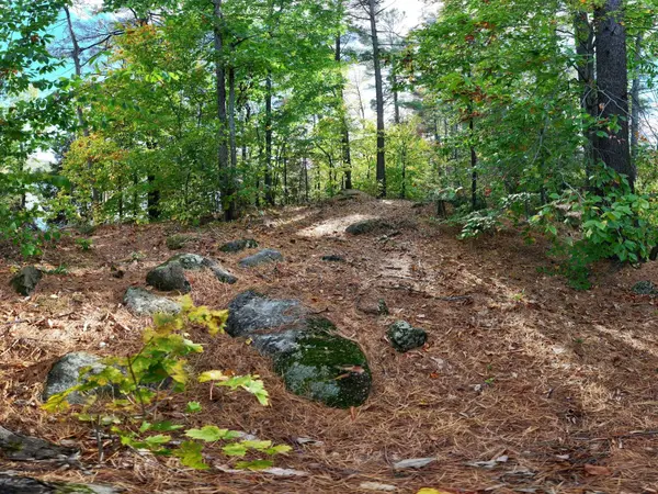 Lac-des-Quatorze-Îles #ÎLE O, Saint-hippolyte, QC J8A3N4