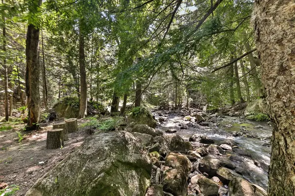 439 Ch. de Montfort, Piedmont, QC J0R1K0