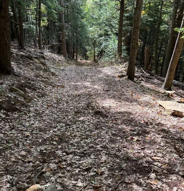 feature image of Let&#39;s Talk About Land