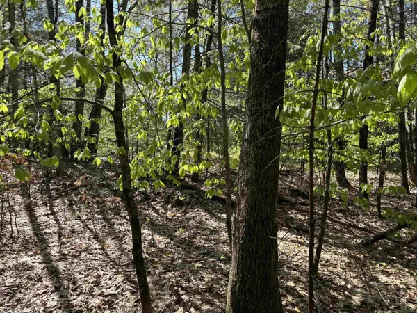 00 E Putney Fallls RD, Putney, VT 05346