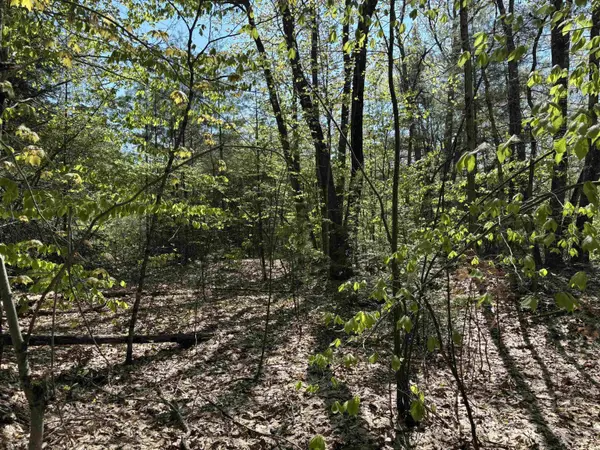 00 E Putney Fallls RD, Putney, VT 05346