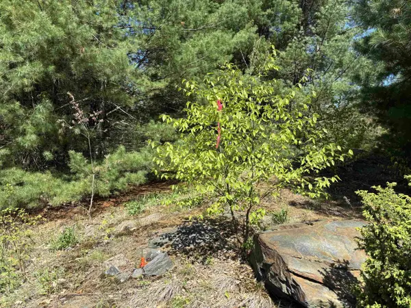 00 E Putney Fallls RD, Putney, VT 05346