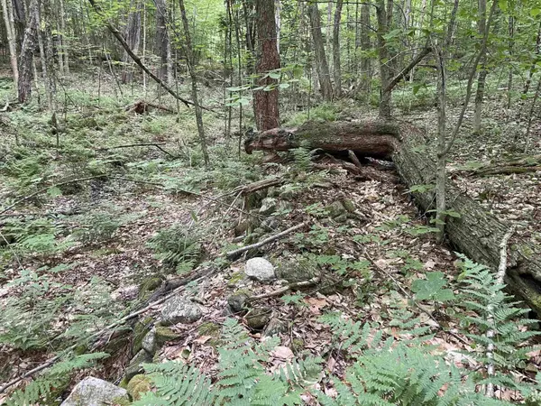 0 Snell RD, Chester, VT 05143