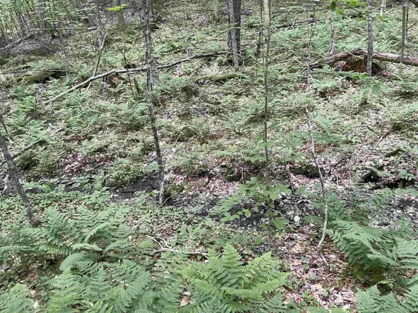 0 Snell RD, Chester, VT 05143