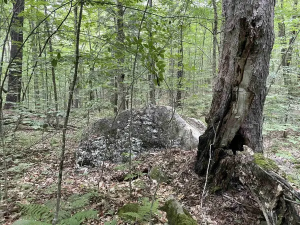 0 Snell RD, Chester, VT 05143