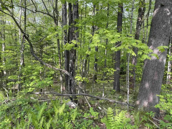 0 Snell RD, Chester, VT 05143