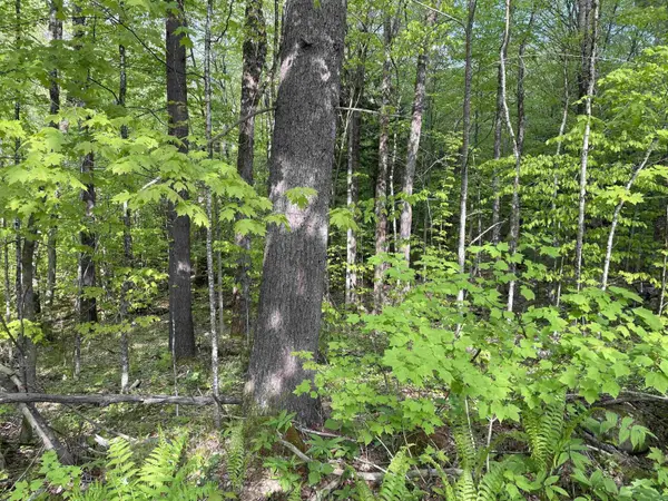 0 Snell RD, Chester, VT 05143