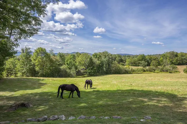 1204 Bailey RD, Shrewsbury, VT 05738
