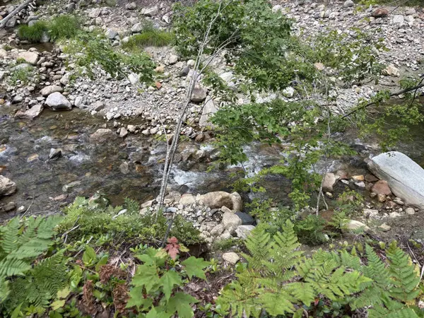 00 Simonsville RD #Lot 3, Andover, VT 05143